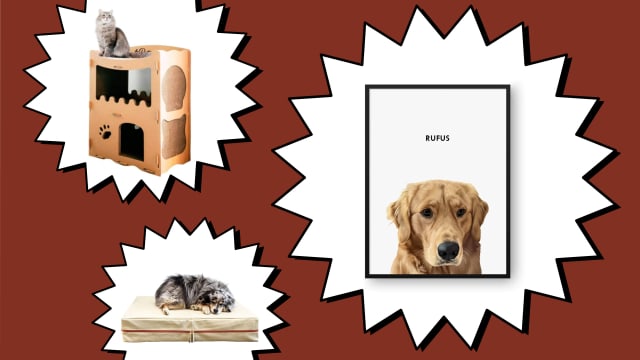 Best Gifts for Pets and Pet Parents | Scouted