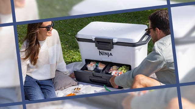 Ninja FrostVault Cooler Review | Scouted, The Daily Beast