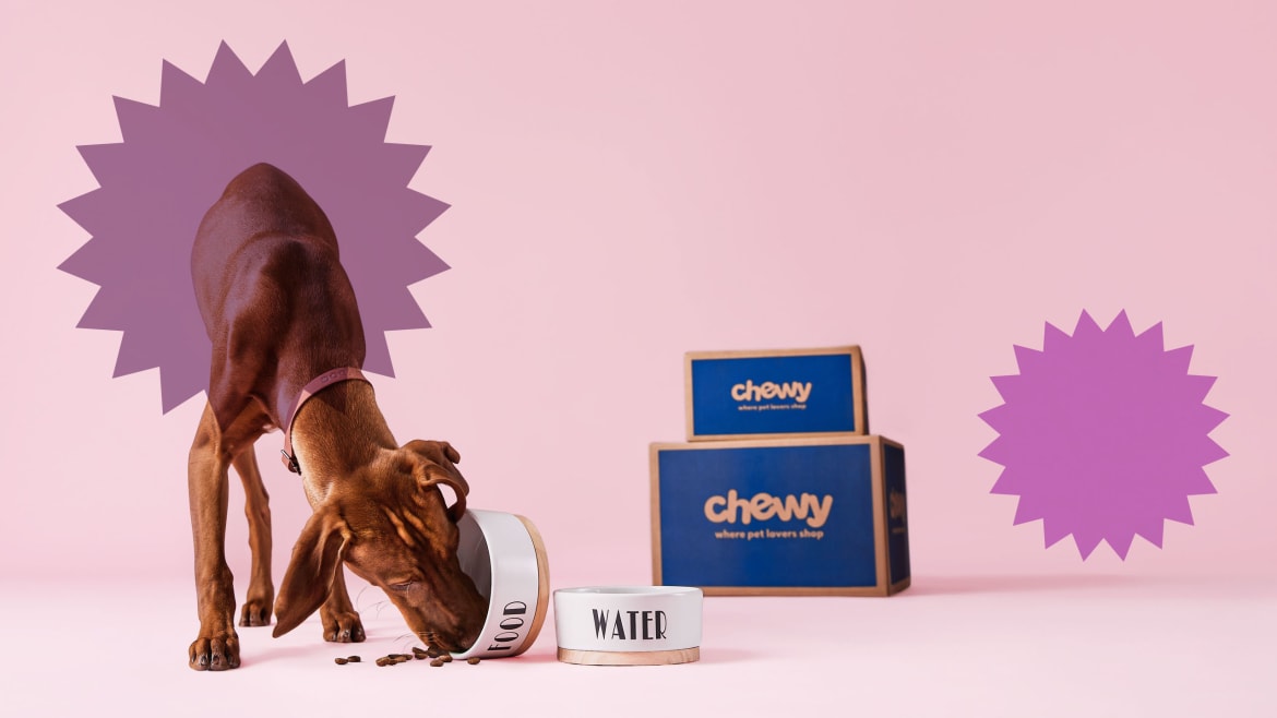 Save Big on Pet Essentials During Chewy’s Prime Day Sale
