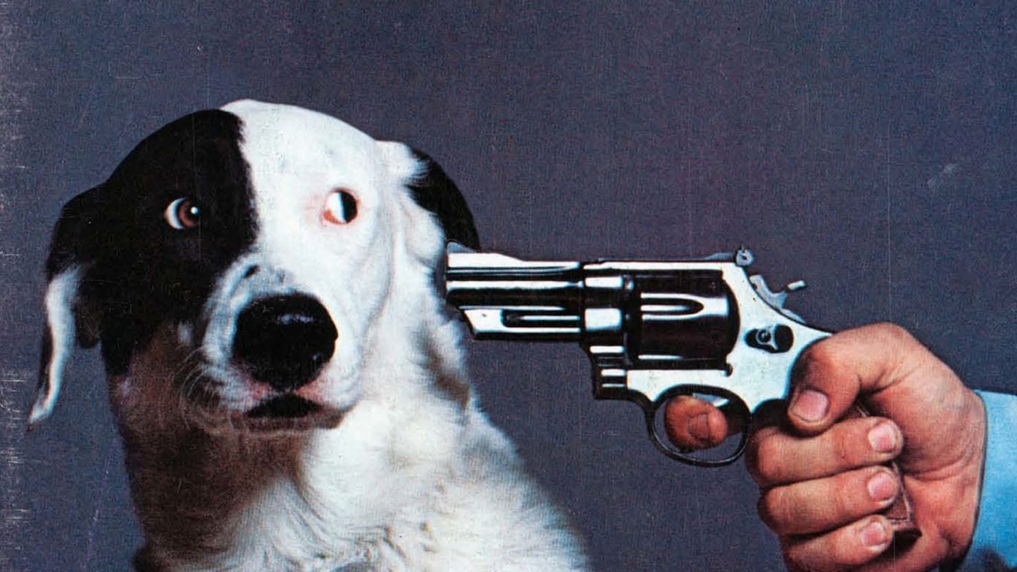 The National Lampoon’s 10 Craziest Moments: From Bill Murray's Evil