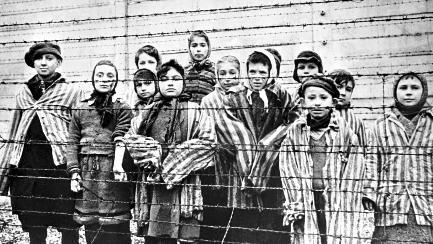 Image result for the holocaust