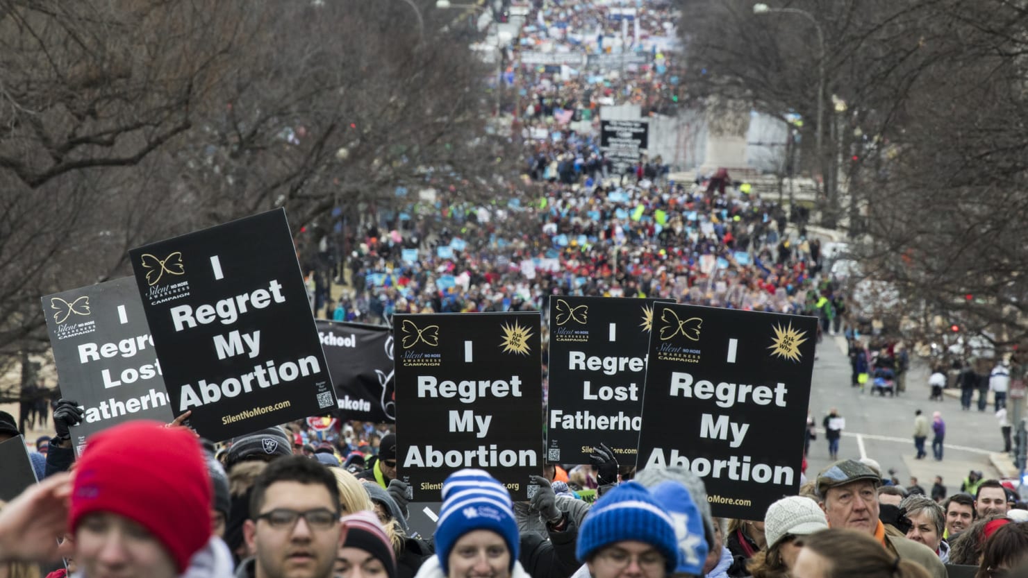 Image result for Across united states attending Rally for Life