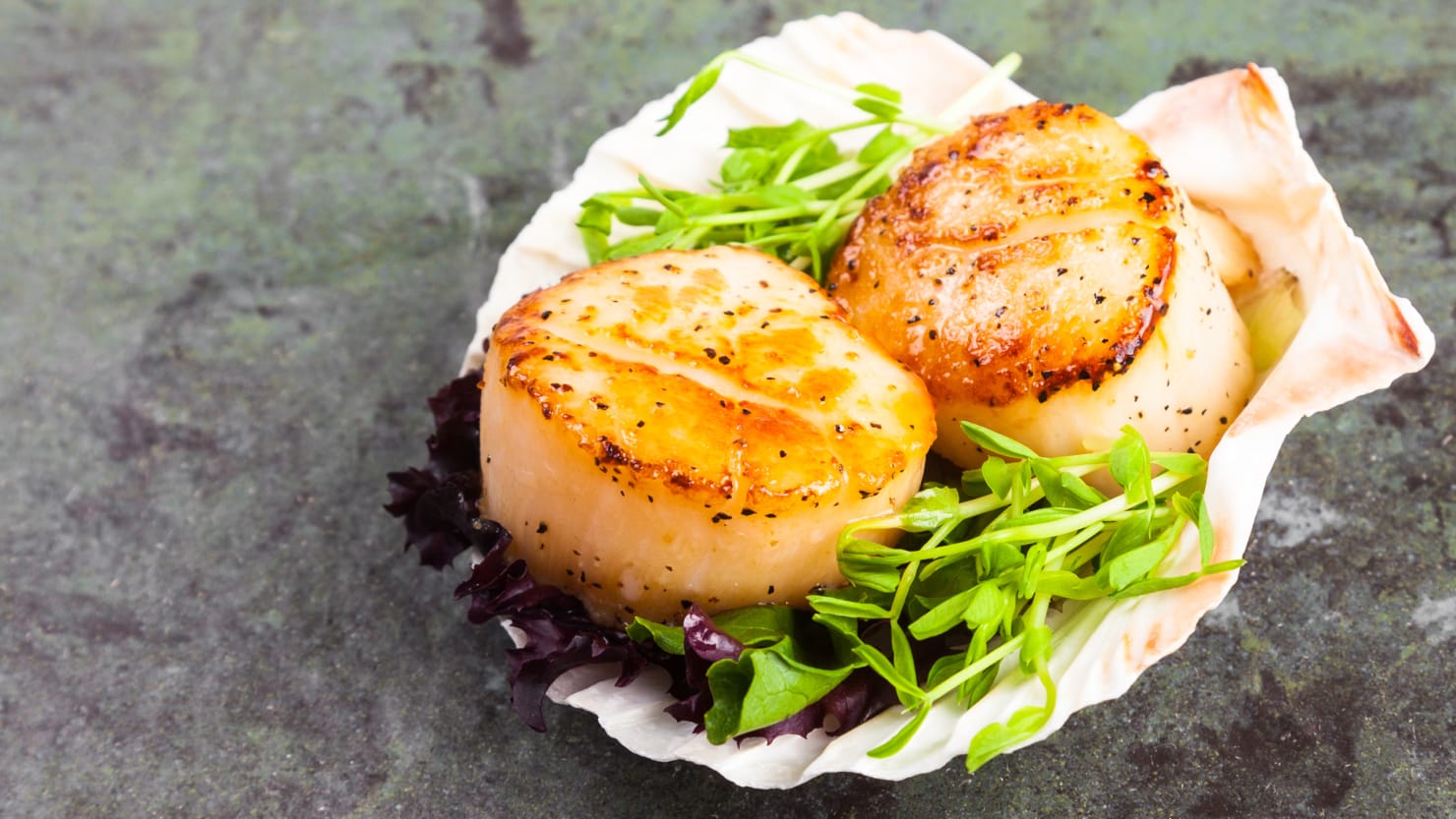 Forget Lobster The Scallop Is the Real Seafood King Xxx Pic Hd
