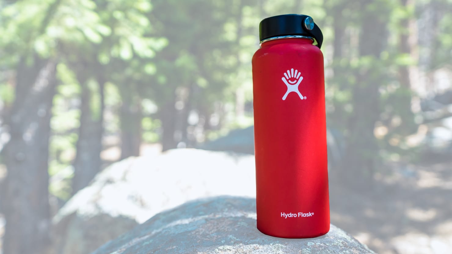 The Best Reusable Water Bottles to Keep With You