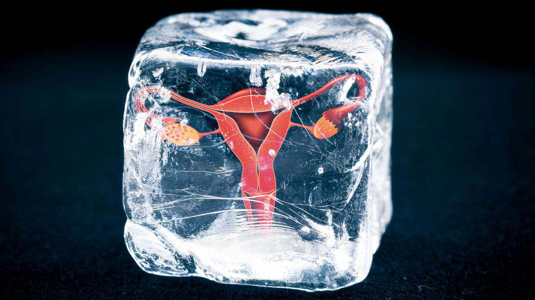 ovaries ovary in an ice cube freezing frozen egg embryo new york manhattan radiolab gonad