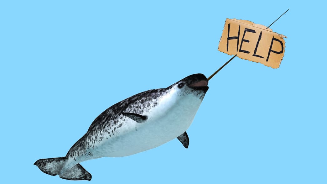narwhal holding help sign on blue background extinct endangered species global shipping climate change unicorn whale
