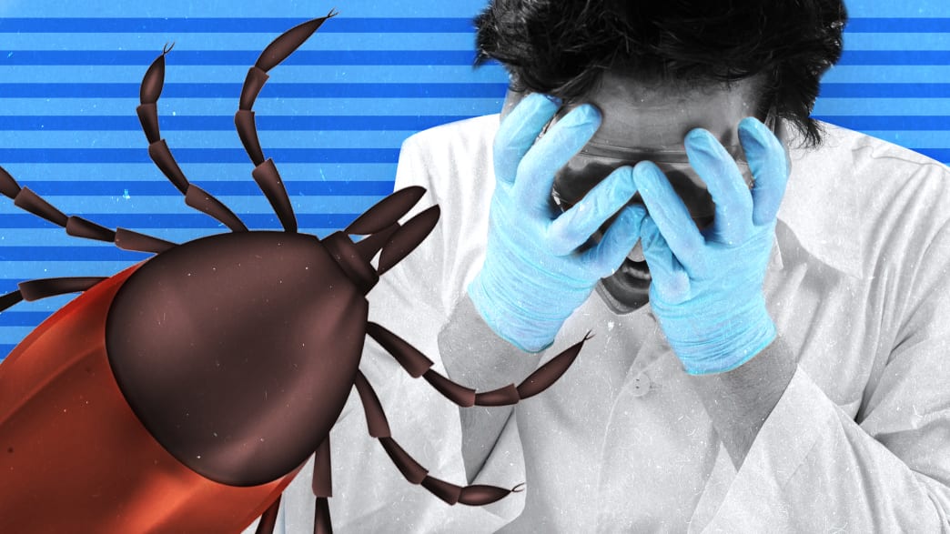 giant tick crawling overdoctor whose hands are in on his face in distress shock fear asian longhorned east tick lyme disease