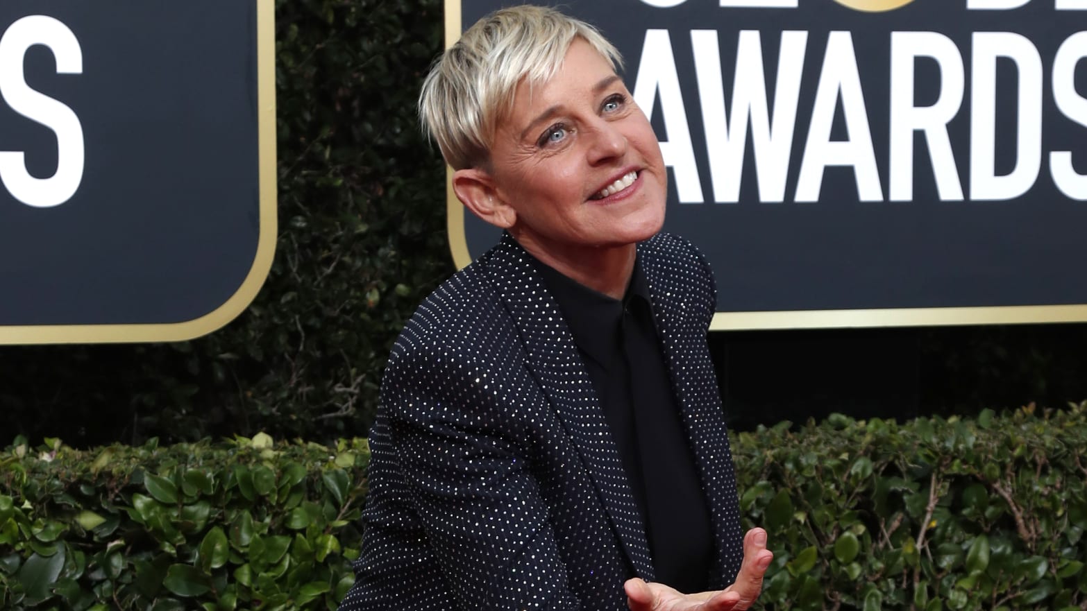 Ellen DeGeneres Jokes About Getting 'Kicked Out of Show Business'