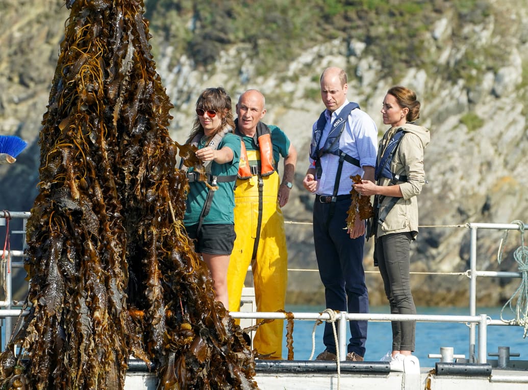 The Prince and Princess of Wales visited the Car-Y-Mor Seaweed Farm St Davids, Pembrokeshire in Wales.