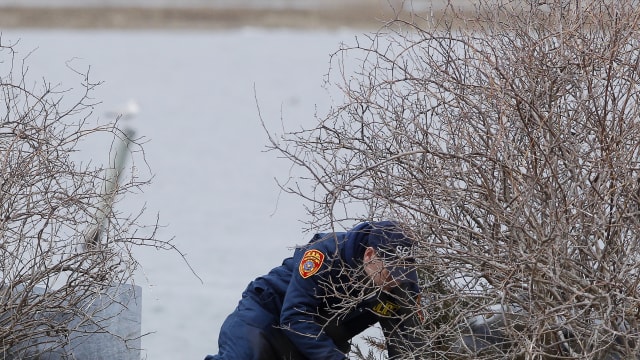 A member of the Suffolk County police search team looks through a brush area for remains of bodies slain by a possible serial killer near the beach area of Oak Beach, New York, April 7, 2011. 
