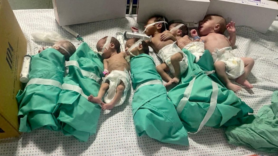 31 Premature Babies Moved From Gaza’s ‘Death Zone’ Hospital