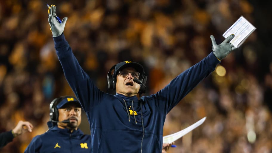 Michigan Wolverines head coach Jim Harbaugh reacts during the second quarter against the Minnesota Golden Gophers