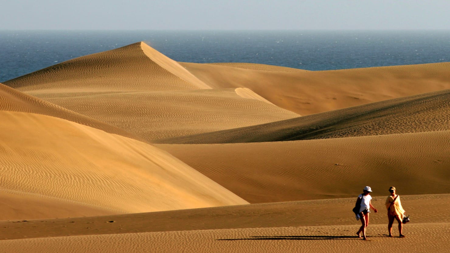 Rampant Sex on the Beach Is Destroying Fragile Sand Dunes in Canary Islands, Researchers