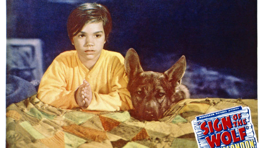 Darryl Hickman in Sign of the Wolf in 1941