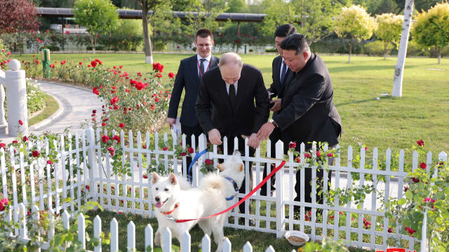 Russia's President Vladimir Putin and North Korea's leader Kim Jong-un pet dogs while walking on grass
