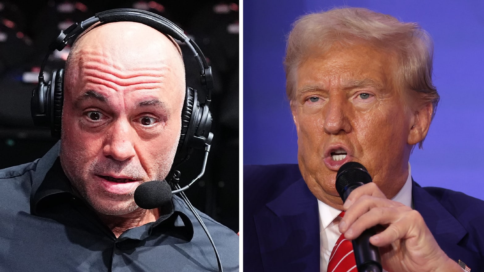 Joe Rogan and Donald Trump