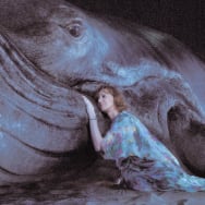 Photo still of Allison Janney and a whale in Palm Royale