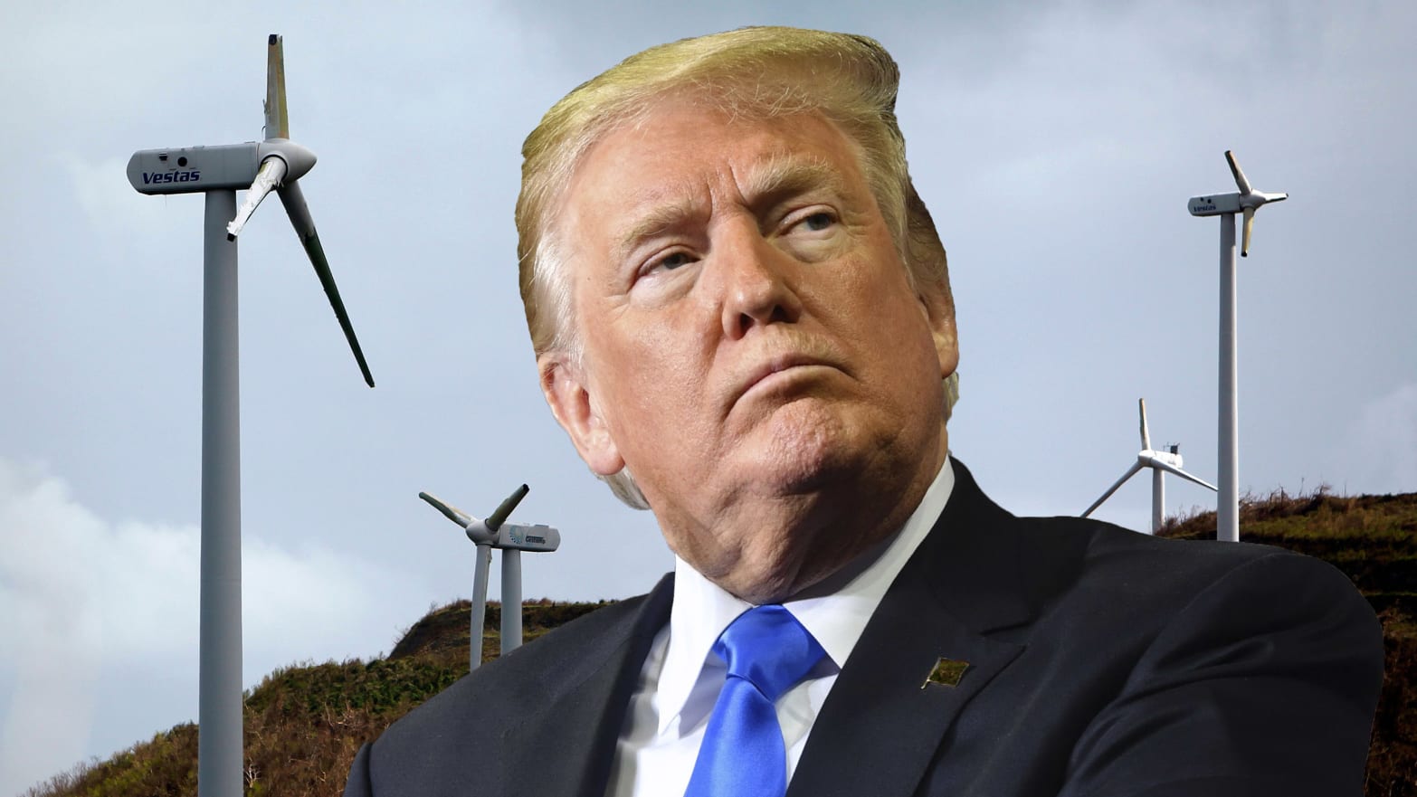 Image result for picture of donald trump and wind turbine
