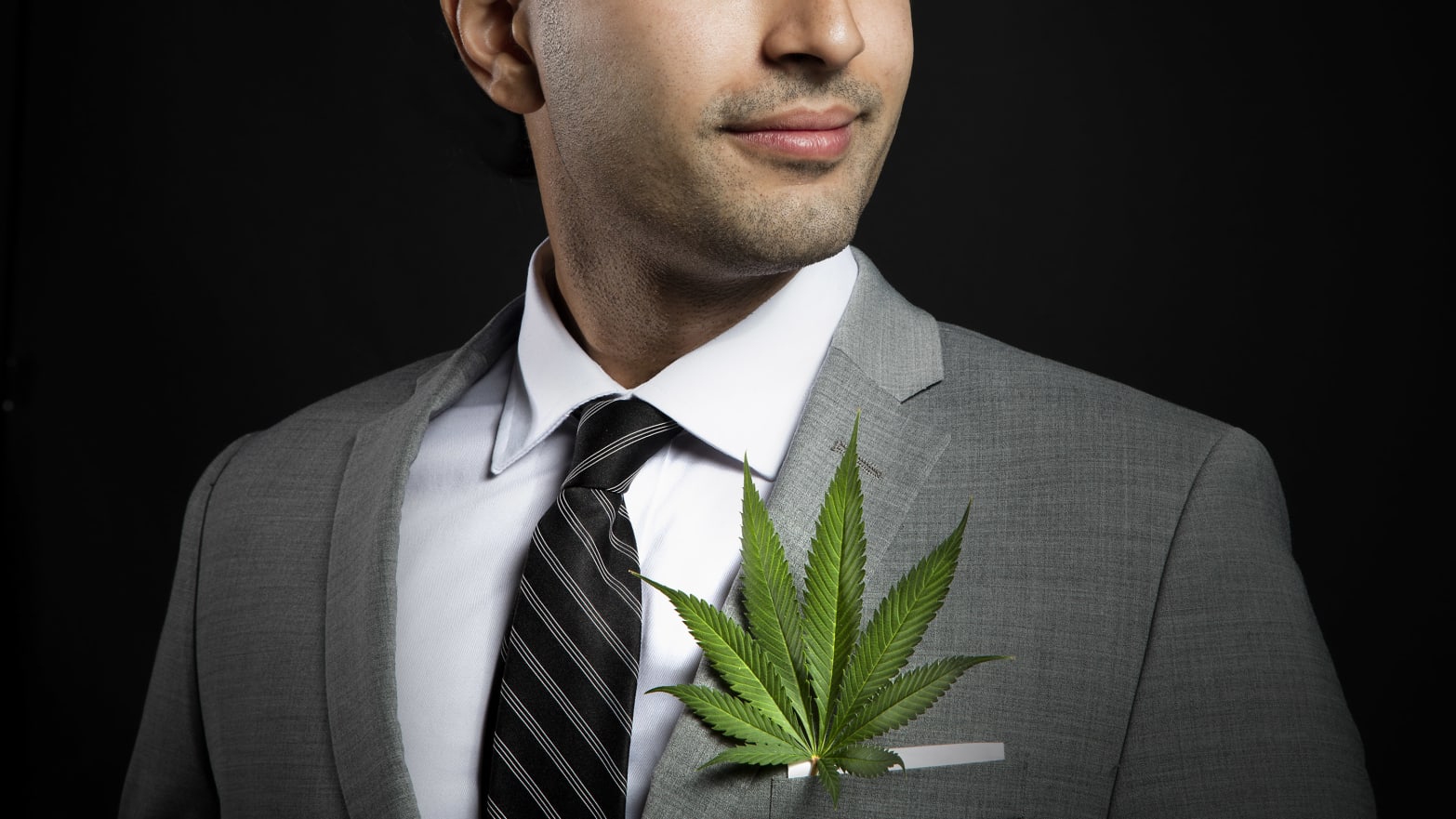 image of man in a suit with a marijuana leaf in his pocket 420 pot weed cannabis gender gap sex roles parity men women male female