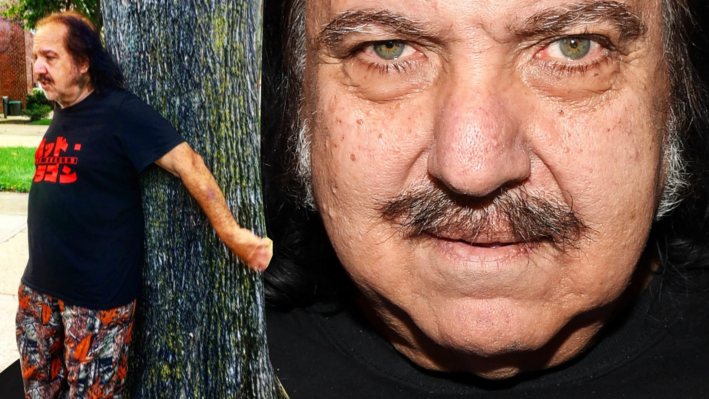 Ron Jeremy Is Under Investigation for Sexual Assault. And People Are  Worried About His Tree.