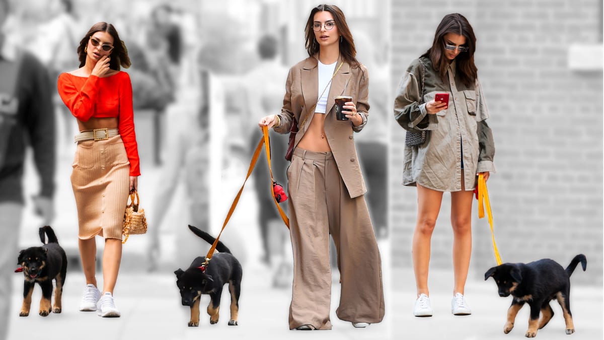 How Colombo, Emily Ratajkowskis Puppy, Became New Yorks Cutest New Celebrity