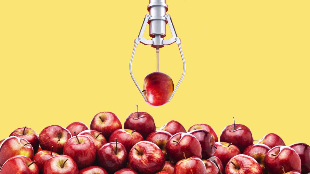 illustration of a robotic arm holding a red apple above a bin of red apples new zealand