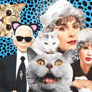 A photo illustration of famous "cat ladies" including Taylor Swift, Enya and Doja Cat.