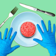A photo illustration of lab grown meat and hands with latex gloves.