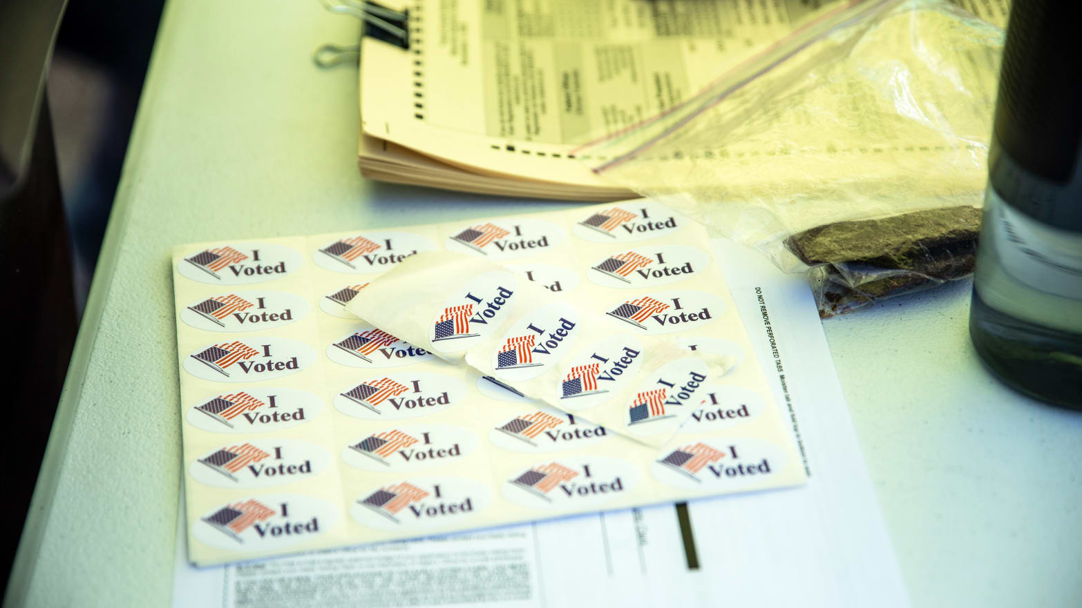  BUSTED!  Pro-Trump Group Invented Voter Fraud Claims MONTHS Before Election (thedailybeast.com)