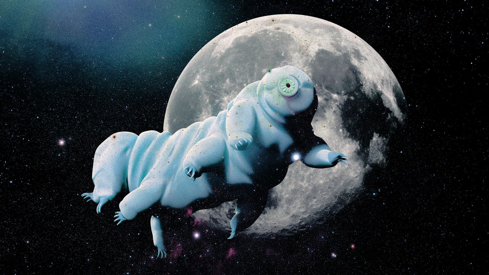 An illustration that includes images of a Tardigrades in Space surrounded by Stars, Light, and The Moon.