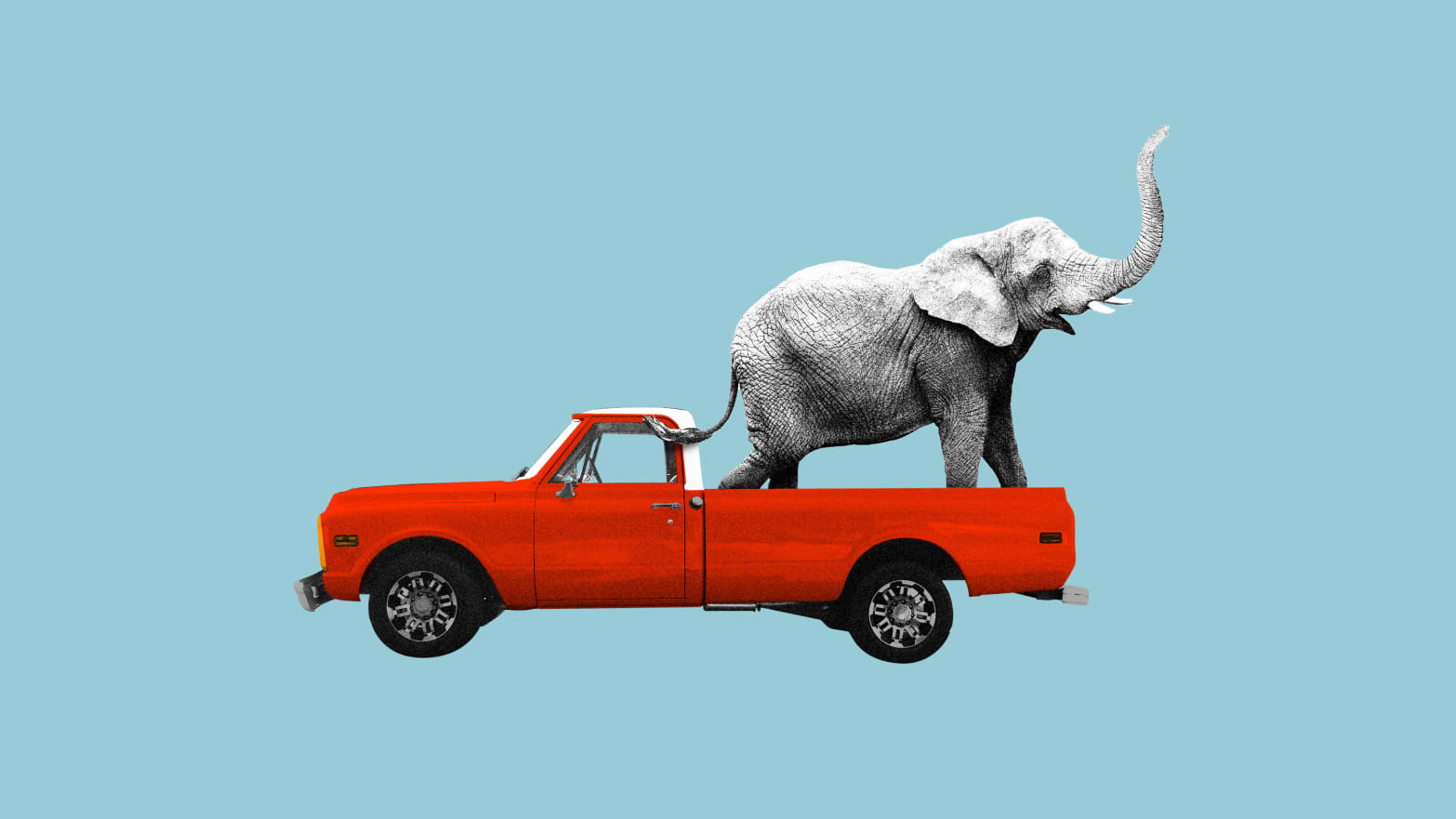Photo illustration of an elephant in a red pickup truck