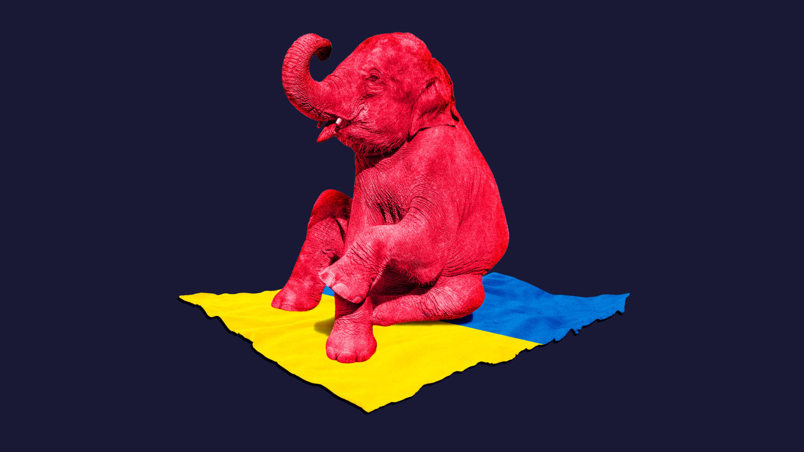 A photo illustration of a red elephant sitting on the Ukraine flag.