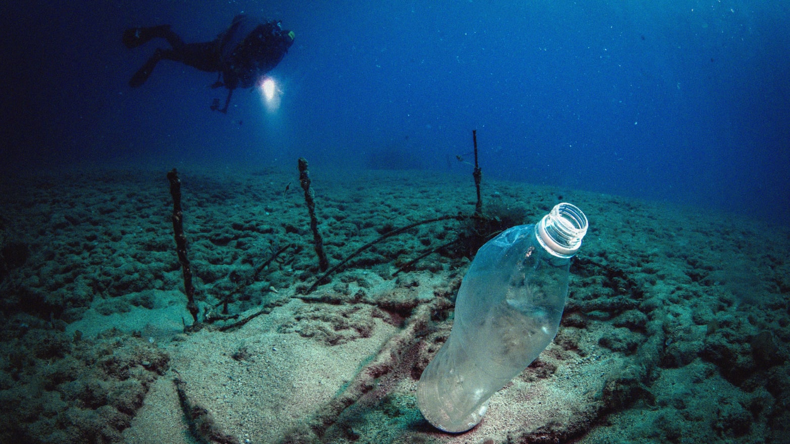 An illustration including a diver and plastic underwater 