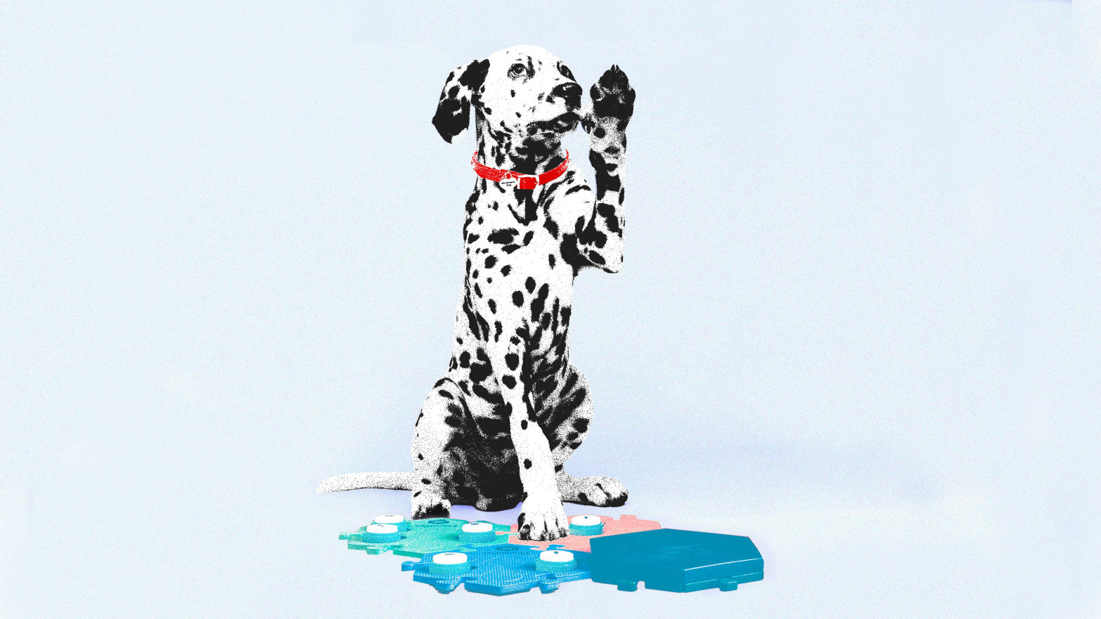 A photo illustration showing a dog using the FluentPet device.