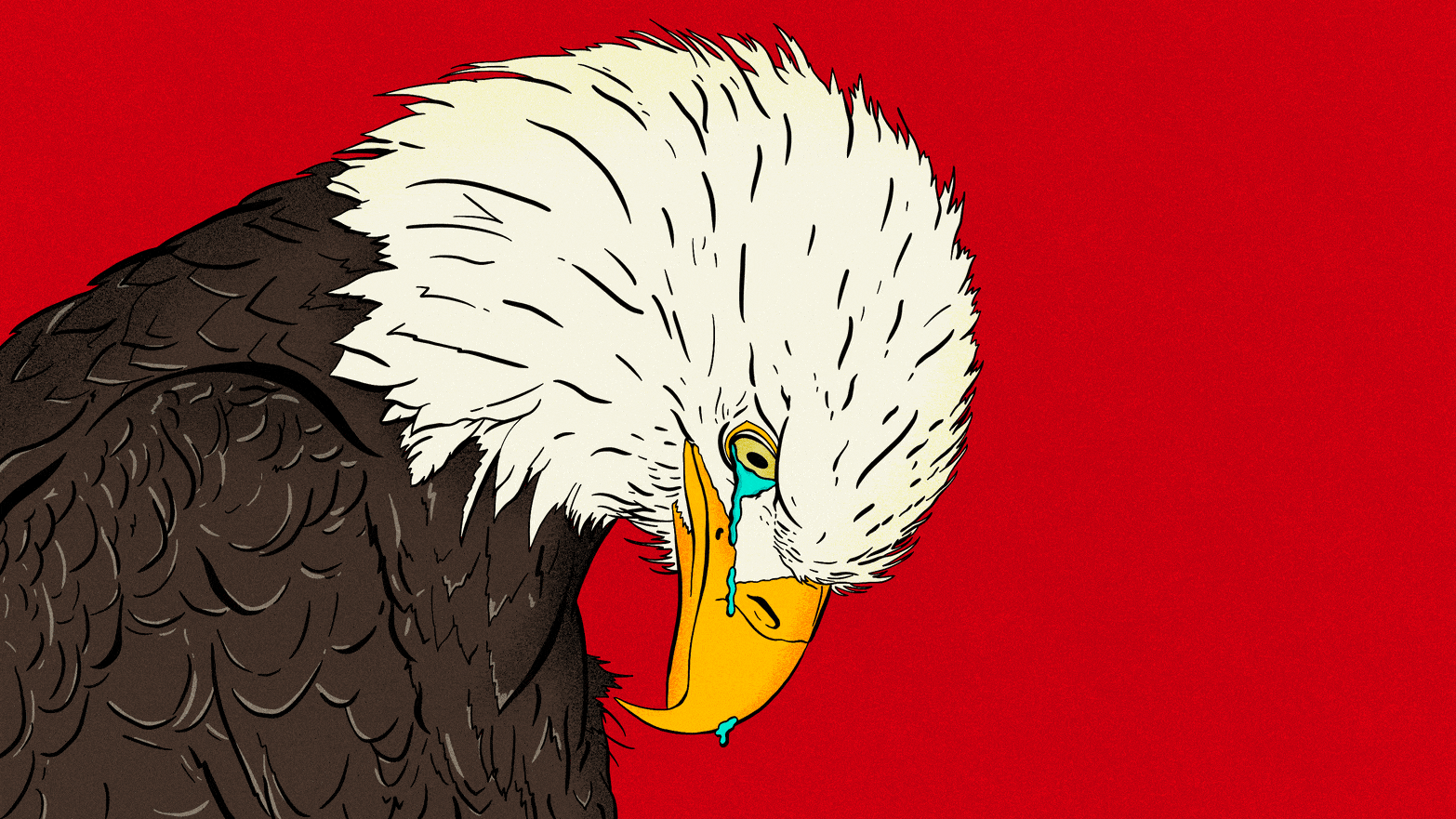 Illustrative gif of a sad bald eagle crying on a red background
