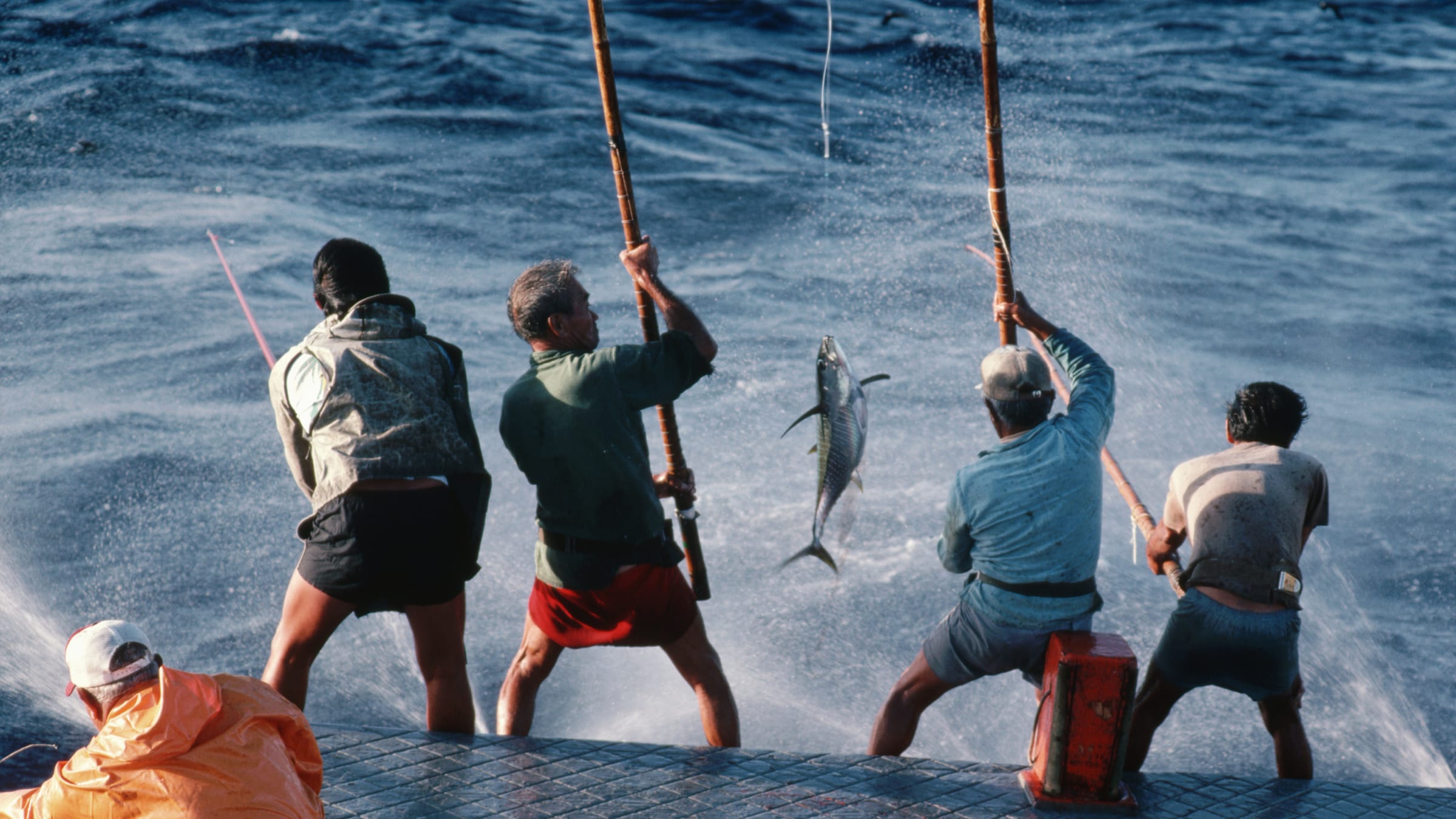 Hawaiian Big Game Marlin Ahi Trolling Lure New
