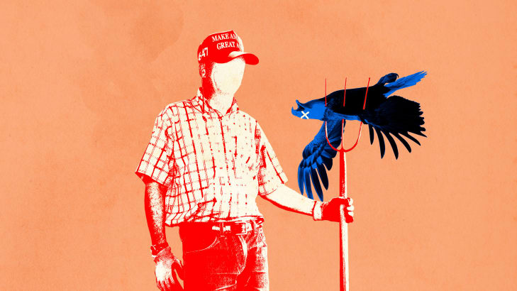 Illustration of a person in a MAGA hat with a pitchfork impaling an eagle