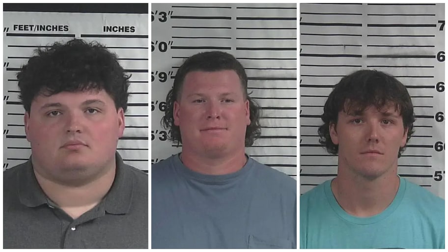 Three men assaulted Reid Watts at a country music concert in Alabama