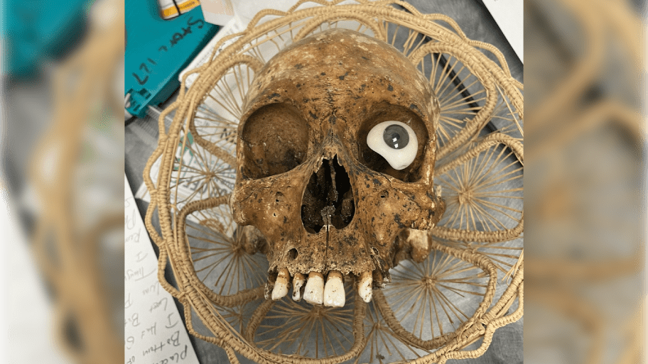 A human skull found in a Goodwill donation box. 