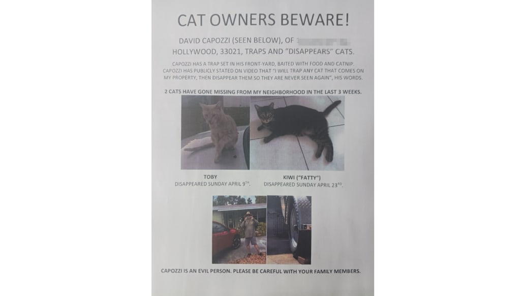 One of the flyers posted by cat owners in Hollywood, Florida
