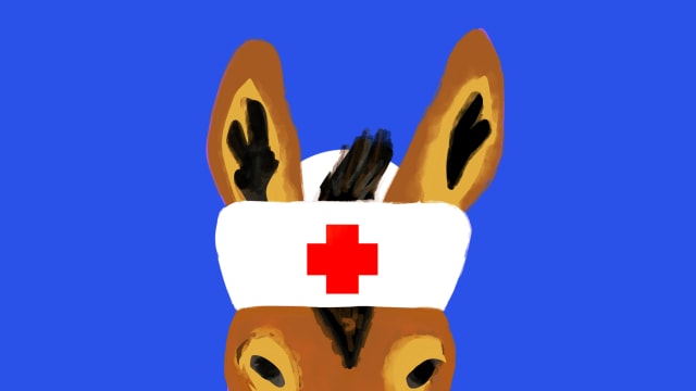 An illustration of a donkey peeking up wearing a nurse hat