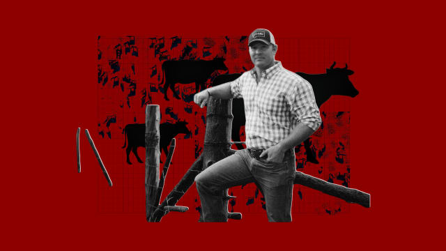 A photo illustration of Tim Sheehy with a grid and cattle illustrations.