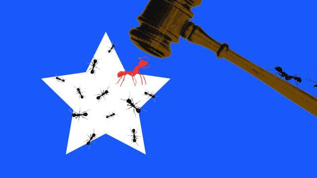 A photo illustration of a court gavel and white star covered in ants on a blue background.