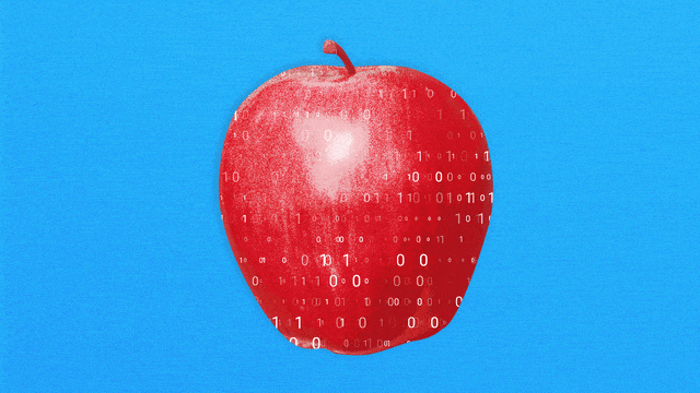  A photo illustration showing a teacher’s apple with scrolling binary code.