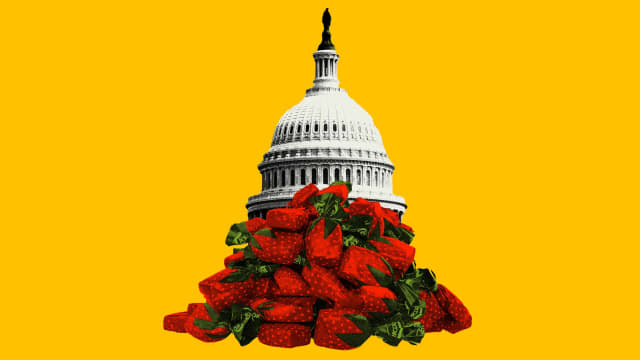 Photo illustration of the US Capitol Building with strawberry candies piled up in front