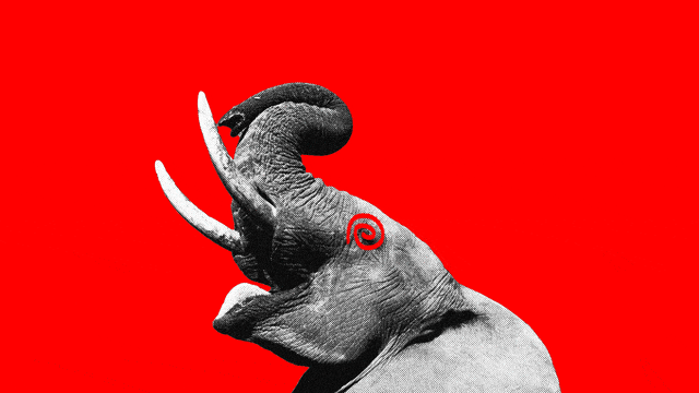 A black and white elephant with it’s mouth open and trunk up while it’s eye has been replaced with a spinning red spiral.