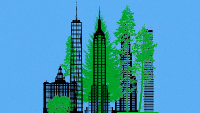 An illustration showing trees growing next to tall skyscrapers.