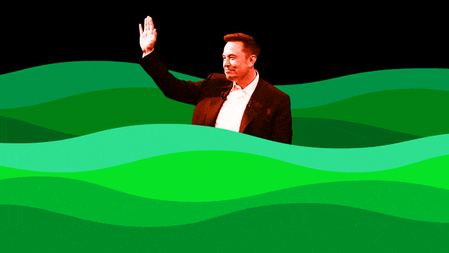 An animation of Elon Musk in a green swamp.
