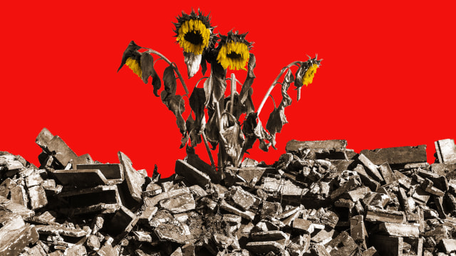 Photo illustration of wilting sunflowers behind building rubble in front of a red background