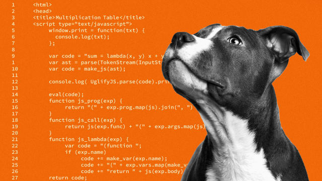 An illustration including a photo of a dog and code